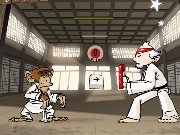 Karate  Monkey