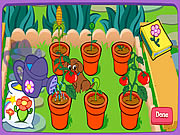 Doras Magical Garden Game