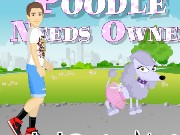 Poodle Needs Owner