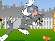 Tom and Jerry want Cheese