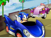 Sonic Hedgehog Racing Zone Game