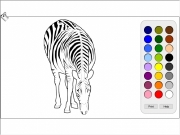 Zebra coloring