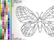 Butterfly coloring Game