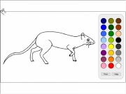 Rat coloring Game