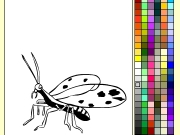 Bug coloring Game