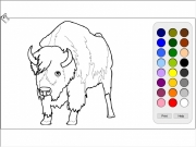 Bison coloring