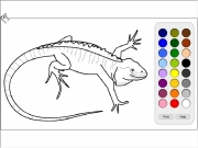 Lizard coloring Game