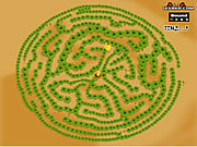 Maze Game Game Play 1 Find The Chicken Game