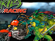 Turtles Racing Game