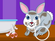 Jasmine Easter Bunny Care Game