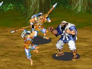 Dynasty Warrior Game