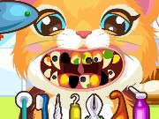 Kitty at the Dentist