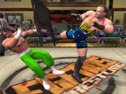 Wrestling Legend Game