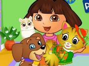 Dora Pets Care Game