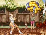 Street Fighters Game