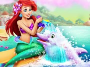 Ariel Dolphin Wash Game