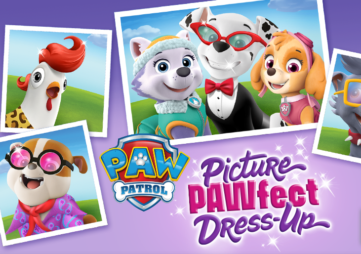 PAW Patrol Picture Game