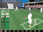 Cricket Challenge Game