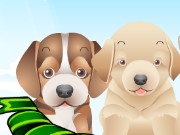 Pet Care Game