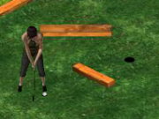 Putt It In The Garden Park Game