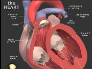 Heart jigsaw Game