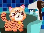 Cat Breeder 2 Game