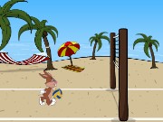 Beach Volleyball Game