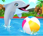 My Dolphin Play Day