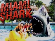 Miami Shark Game