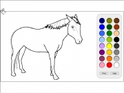 Horse coloring