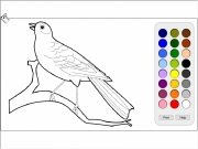 Bird colorin Game