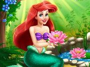 Ariel Water Garden Game