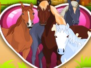 Horsecare Apprenticeships Game