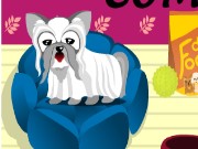 Dog Breeder Contest Game