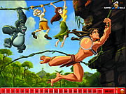 Hidden Numbers Tarzan Game