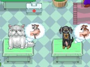 Super Veterinarian Game