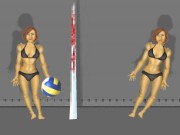 Ragdoll Volleyball Game