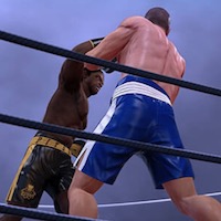 Ultimate Boxing Game