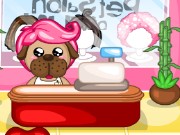 Pet Salon Of Fun Game