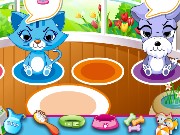Pet Shop Caring Game
