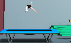 Trampoline Flip