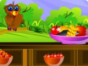 Feed The Birds Game