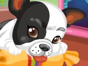 Happy dog coloring Game