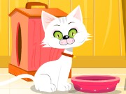 Virtual Cat Game