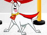 Krypto X Ray Fetch Game