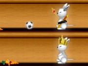 Rabbit Race Game