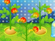 Tomato Factory Game