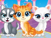 Pets Beauty Salon Game