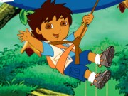 Diego Rain Forest Adventure