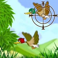 Duck Shooter Game